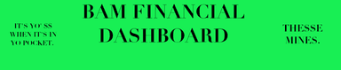 BAM Financial Dashboard Image